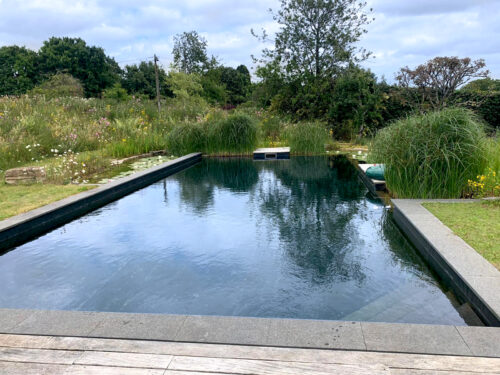 A view of the natural swimming pool built in East Sussex by construction company River.ODP