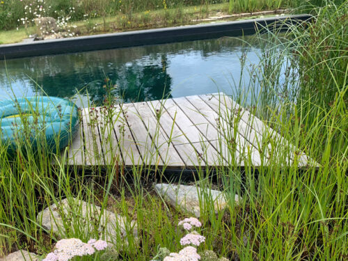 Wooden deck above a regeneration zone of the natural swimming pool built in East Sussex by construction company River.ODP