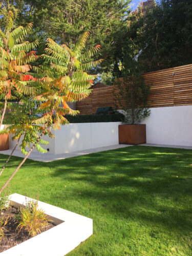Modern garden with a well-kept lawn, white rendered walls, corten steel planters, and slatted timber fencing – a landscaping project by River ODP