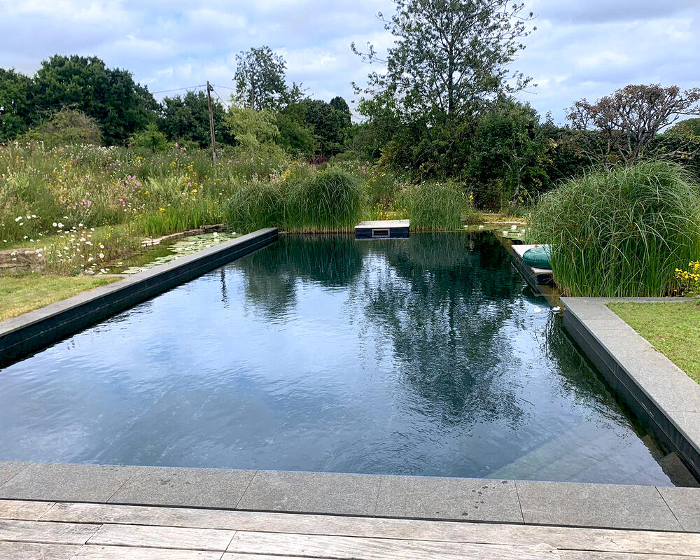 A view of the natural swimming pool built in East Sussex by construction company River.ODP