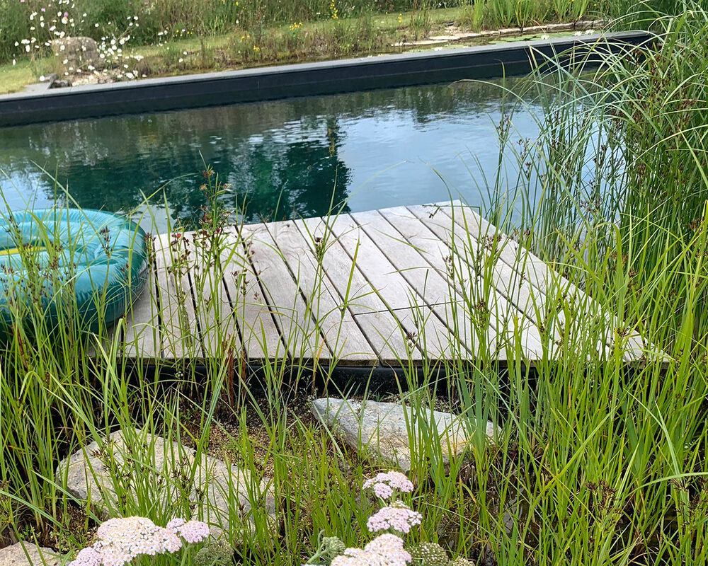 Wooden deck above a regeneration zone of the natural swimming pool built in East Sussex by construction company River.ODP