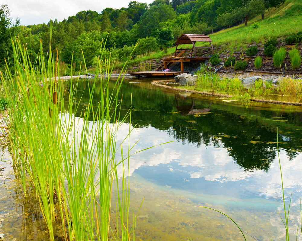 Clouds reflecting in Natural swimming pond constructed in Kent by building company River ODP