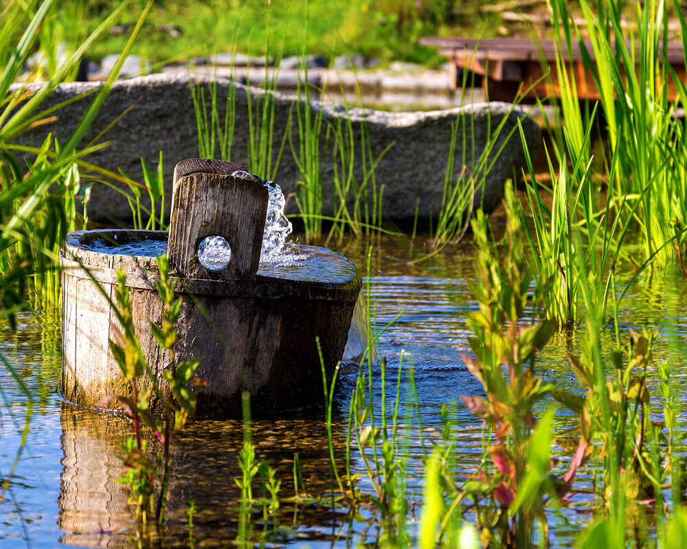 Water feature placed in Natural swimming pond constructed in countryside in Kent by building company RiverODP