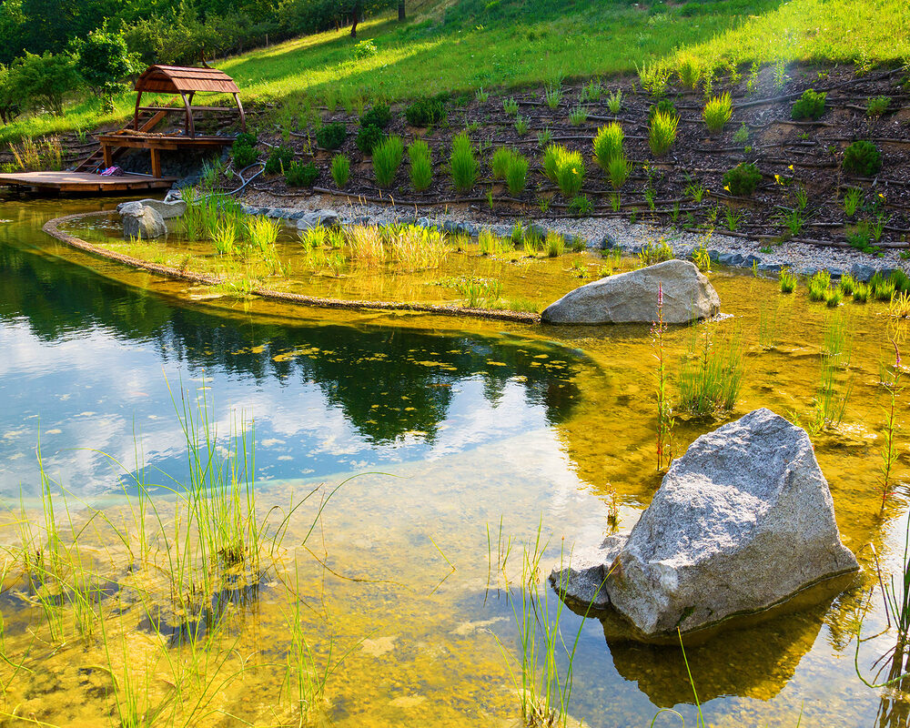 Rocks in Natural swimming pond constructed in countryside in Kent by building company RiverODP
