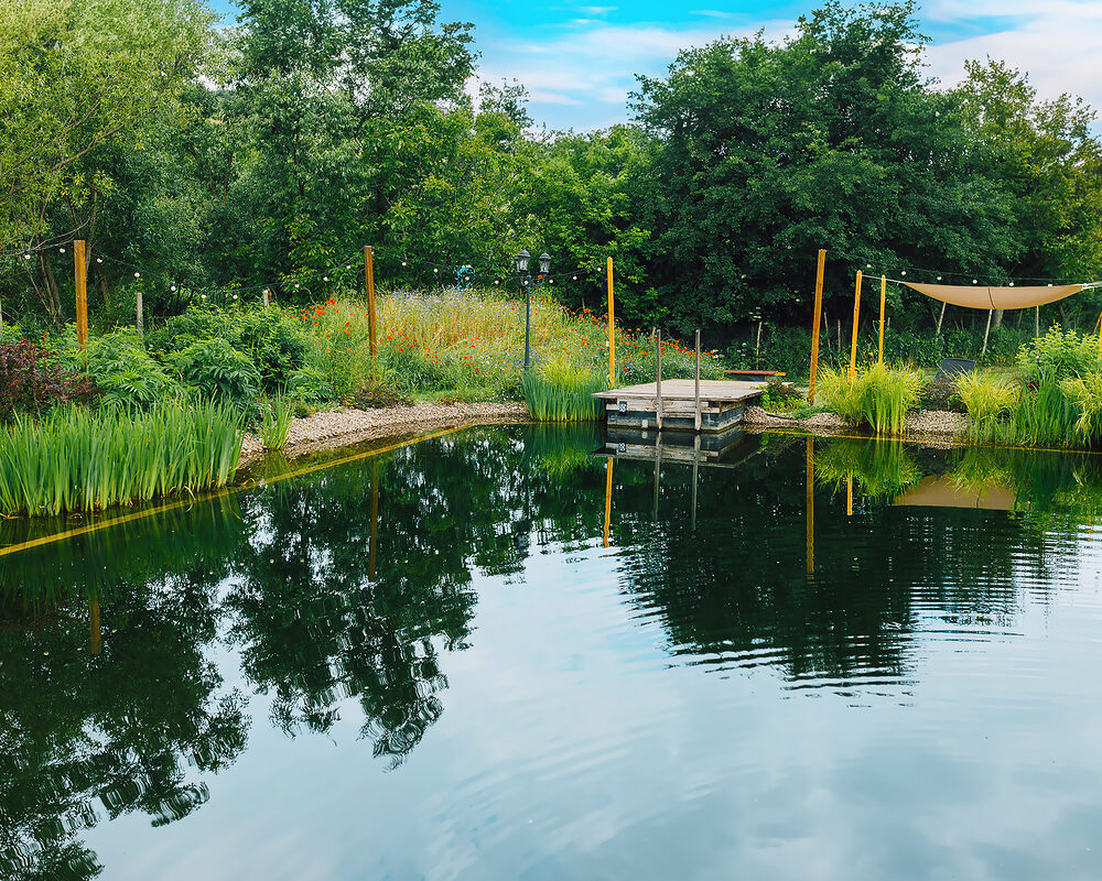 Natural swimming pond built in Essex by construction company River ODP