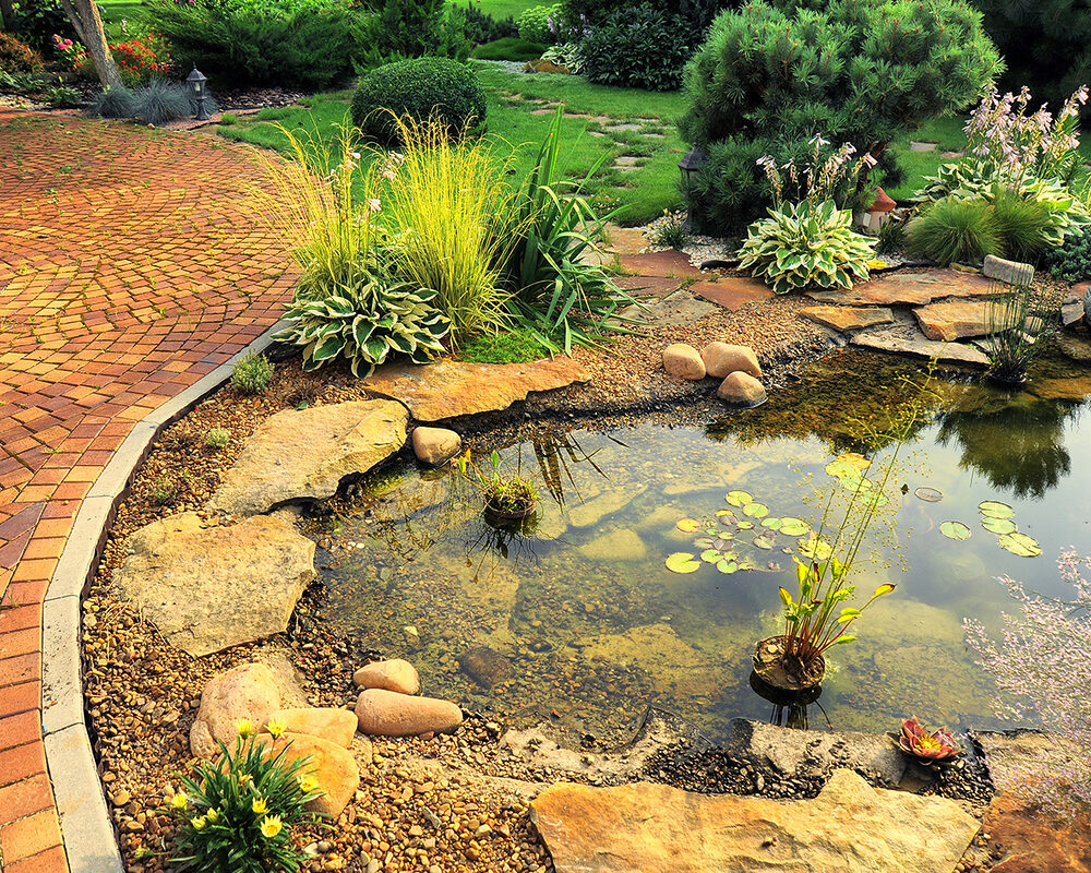 Rock edged garden pond with clear water in garden in Mayfield built by River ODP