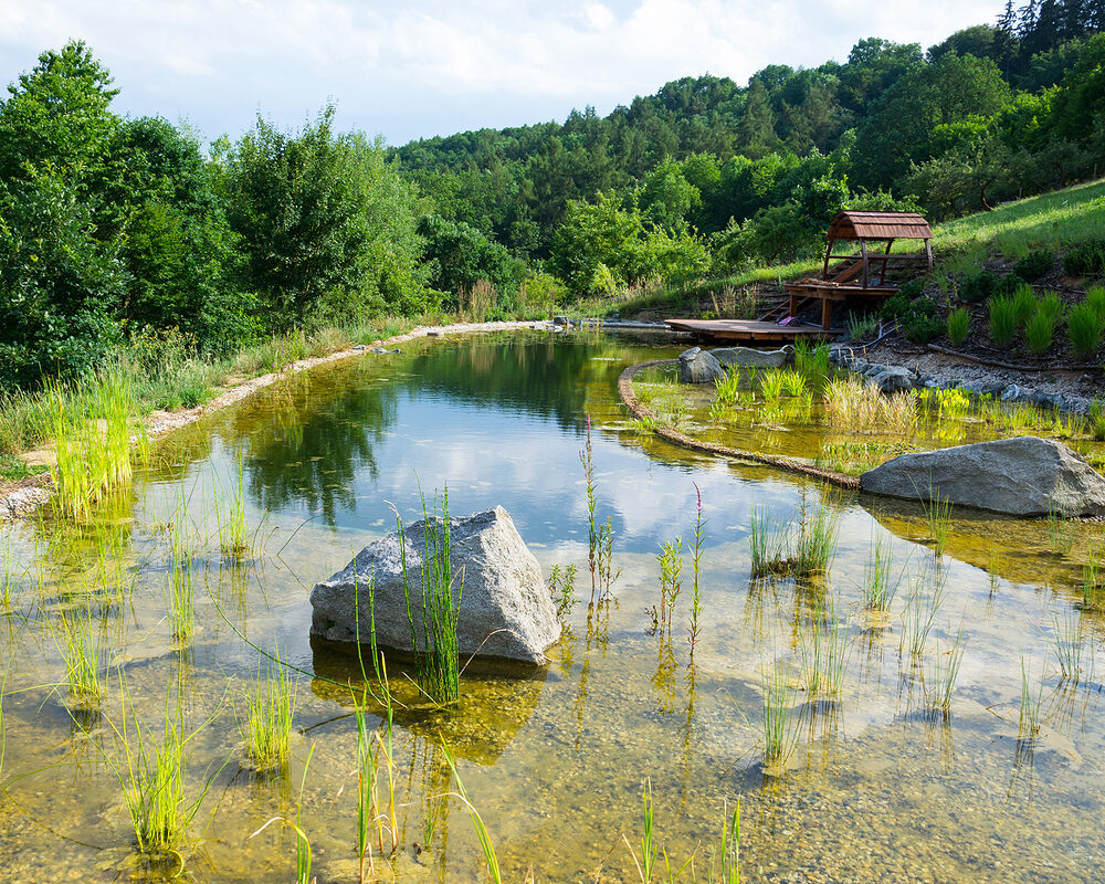 Rocks in Natural swimming pond constructed in countryside in Kent by building company RiverODP