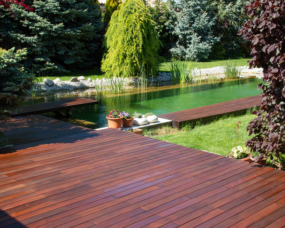 Decking next to natural swimming pool with clean & naturally filtered fresh water constructed by building company in Kent, UK